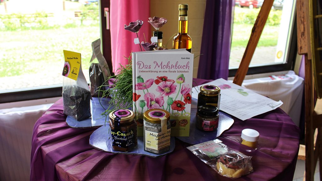 Mohnblüte am Hohen Meißner in Germerode