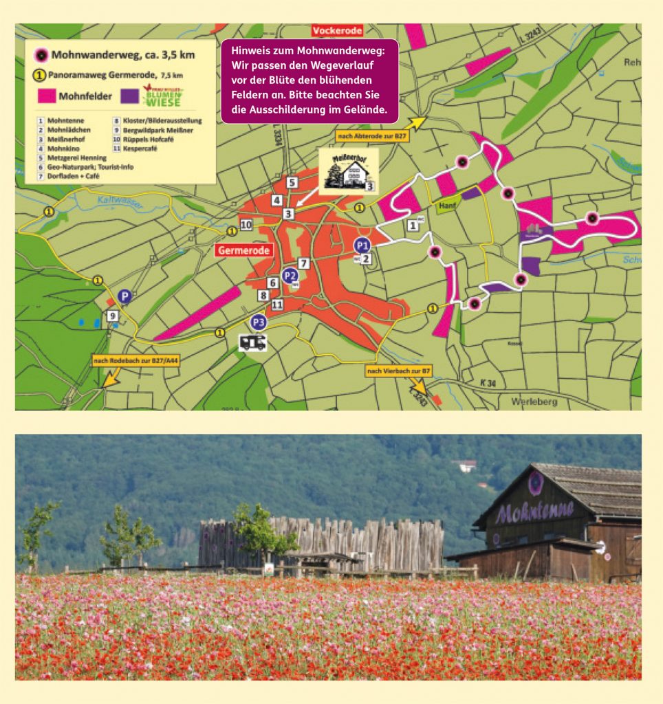 Meißner Mohnblüte 2025